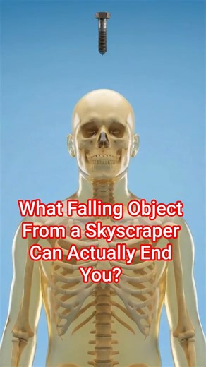 What Falling Object From a Skyscraper Can Actually End You?