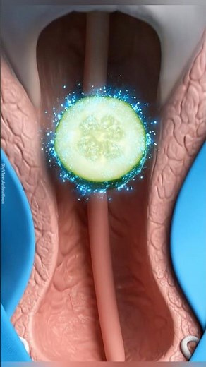 Transparent Woman Eating a Cucumber — Inside the Human Body 🥒 #satisfying