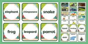 Jungle Animal Matching Cards