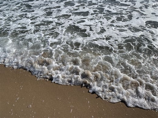 Three Oaks Announces 2026 Season Opening Dates For Swim Beach, Marina, Scuba Zone