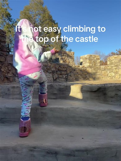 Never Give Up: Lessons in Perseverance