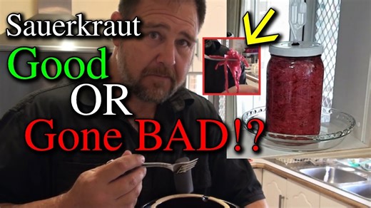 Red sauerkraut showdown: Taste testing & bottling homemade batches!