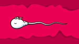 Sperm Cell Cartoon Animated Character Isolated Stock Footage Video (100% Royalty-free) 1095490415 | Shutterstock