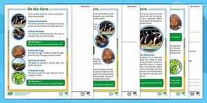 KS1 On the Farm Non-Fiction Reading Comprehension Activity