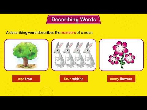 Bubble English Grammar Class 1 Chapter 11 Describing Words