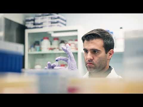 Exploring how hormones affect our brain and behaviour