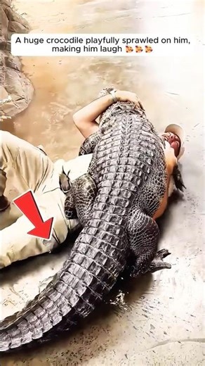 this man has devoted his entire life to the zoo #animalslover #zooborns #centralzoo #nationalzoo