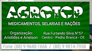 EU VOU TE AJUDAR NA SUA CRIAÇÃO DE GALINHAS CAIPIRAS ESCOLHA A...