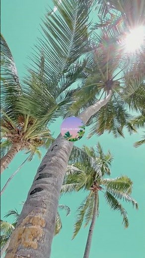 Beach Stroll | Relax Chillout Lounge Music 2025 #chillmusic