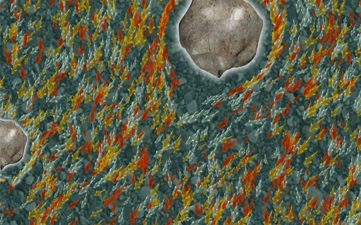 超多鱼~ ~ Unity鱼群粒子效果!