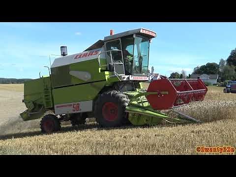 4K| Claas Dominator 58S Combine Harvesting Wheat