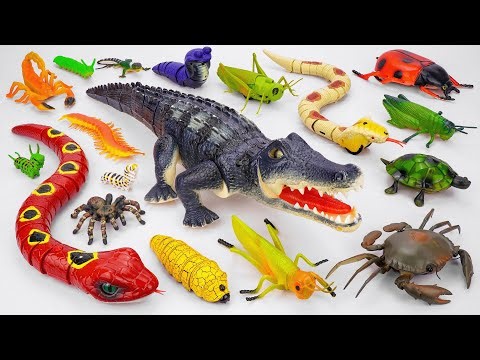 ZURU ROBO ALIVE COLLECTION | UNBOXING Robo PUPPY Paw Patrol, RC Snake, RC Lizard Compilation | ASMR