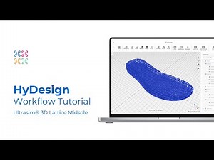 Creating a 3D Lattice Midsole for 3D Printing - HyDesign