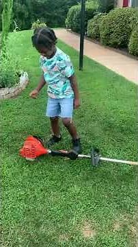 Hollis Dyer (Weed Wacker) Instructions