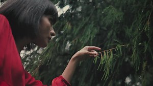 Girl gently touching the branches of a pine tree in the rain - Free Stock Video