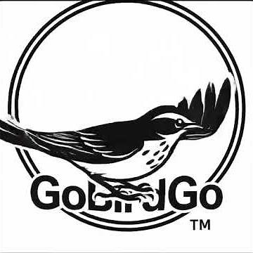 Go Bird Go™ Live Logo Reveal | Smart Bird Feeder Brand Animation