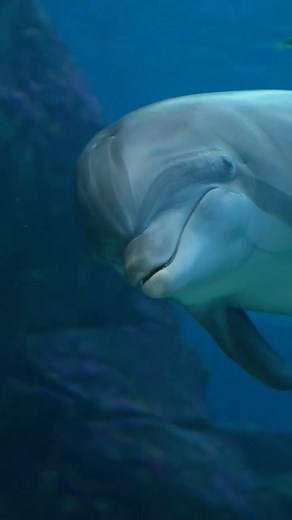 3.2K reactions · 39 shares | Start your morning in the most...