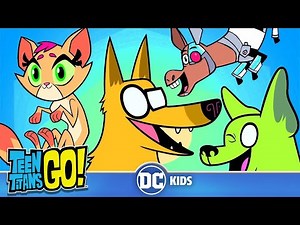 Teen Titans Go! | Animal Urges | DC Kids