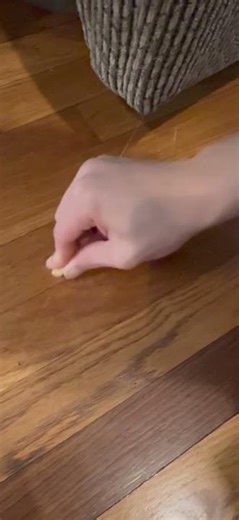 Using a walnut to help repair a deep scratch on a hard wood floor.