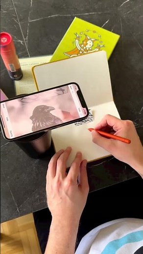 Drawing with Augmented Reality using Da Vinci Eye app!