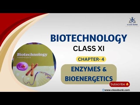 Enzymes and Bioenergetics | Class 11 Biotechnology | Complete Explanation