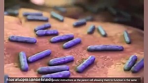 همانندسازی | DNA Replication Process 3D Animation