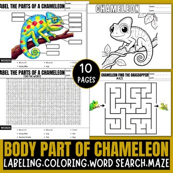 Chameleon Body Parts Activity Pack | Labeling, Coloring, Word Search & Maze