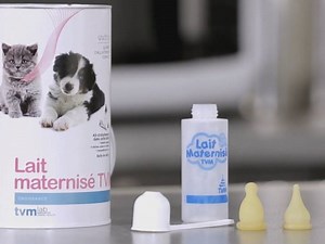 Préparer un biberon de lait maternisé pour chiot ou chaton (vidéo)