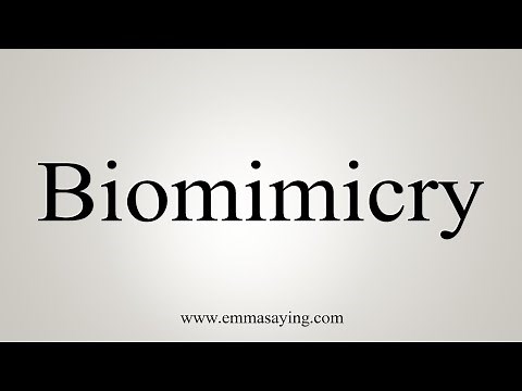 How To Say Biomimicry