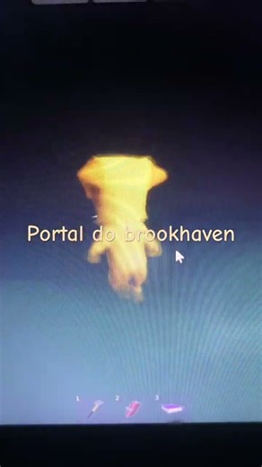 Portal do brookhaven