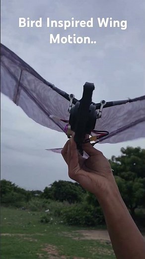 Bird or Machine? 😳