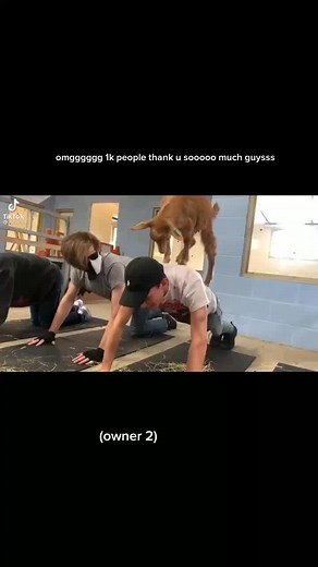 Random dsmp stuff yk yk.. on TikTok