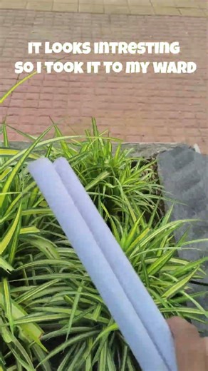 Lets start a messy Journey!