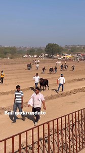 #reels | Bail gada Update