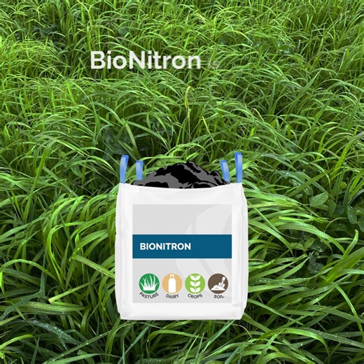 See strong pasture growth without the reliance on urea and other synthetics with BioNitron fertiliser. BioNitron is our new transitional granulated nitrogen fertiliser, replacing straight urea and other synthetic inputs and providing a pathway towards a full biological fertiliser programme. 🚜 Maintain pasture yields while improving soil health 🐄 Healthier cows and high milk solids 🐟 Fish and seaweed-based biology 🩺 Save on vet bills 🧪 Cleaner run off and waterways 🇳🇿 BioActive Soils are S