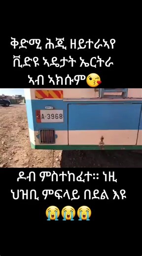 Traditional Gathering in Amharic Culture