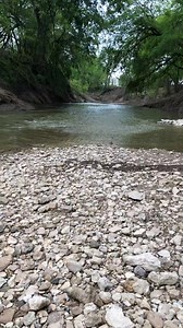 Colby Moreland pulls a nice Comanche Pedernales point from a Leon River gravel bar in Jonesboro, Tx. Pedernales: 3,000 - 2,000 B.P. #texas #history #prehistory #arrowhead #artifacts #buriedculture | Buried Culture