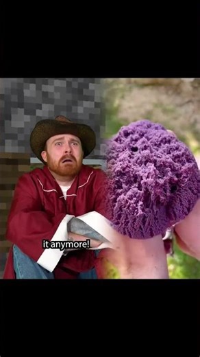 When You Play Minecraft With Always Day On