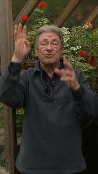 Start Growing Smarter: Greenhouse Tips You’ll Wish You Knew Sooner