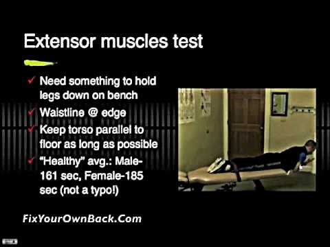 Low back endurance test