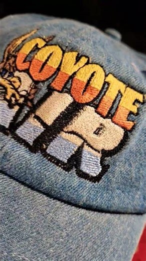 THIS IS THE RAREST HAT I EVER SAW🔥🔥💯💀💀 #looneytoons #Taz #wiley #tweety #bugs #vtg #subscribe #fyp