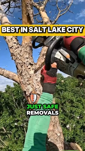 👋Hey guys! My name is Chris, and I own Organic Choice here in Salt Lake City⭐ I absolutely LOVE what I do—helping people keep their homes safe and beautiful by taking care of problem trees. Everyone always asks… how much does it cost to remove or trim a tree? Well… It depends on a few things: Do you need something quick and cost-effective? Or do you want every step done with precision, leaving your yard looking perfect? Unfortunately, not all tree removal quotes are created equal. We know every