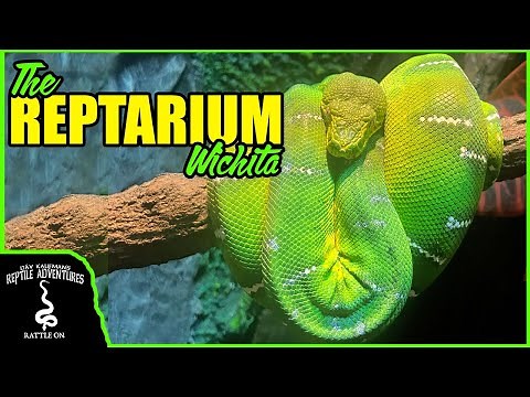 THE REPTARIUM WICHITA! The Coolest Reptile Zoo in the Heartland!
