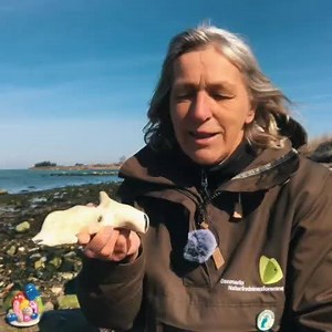 LEG OG LÆR MED NATURVEJLEDERNE! Se vores videoer med guides til nemme og sjove oplevelser i naturen 🐛 | Danmarks Naturfredningsforening