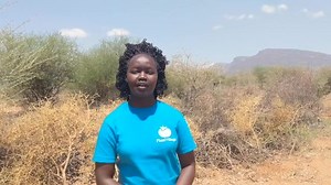 92 reactions · 11 shares | To better control the desert locust, we need to understand their movement and behavior. PlantVillage begins to monitor the locust movement by using trackers. | PlantVillage | Facebook