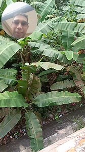 Kastoy gayam styl na Dytoy 😂 Kasabsabaan 😂✌️ #goodvibes | Checkpoint Echo