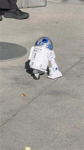R2D2 robot #starwars #r2d2 #galaxysedge #downtowndisney #starwarstradingpost #robot #robotics #droid