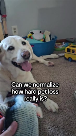 Understanding the Grief of Pet Loss and How to Cope