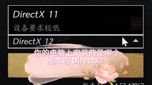 查看电脑上安装的是哪个版本的 DirectX 操作教程
