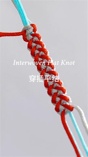 How to Tie a Interwoven Flat Knot 02 | 穿插平结02 Knot Tutorial for Crafts & Macrame #diy #handmade